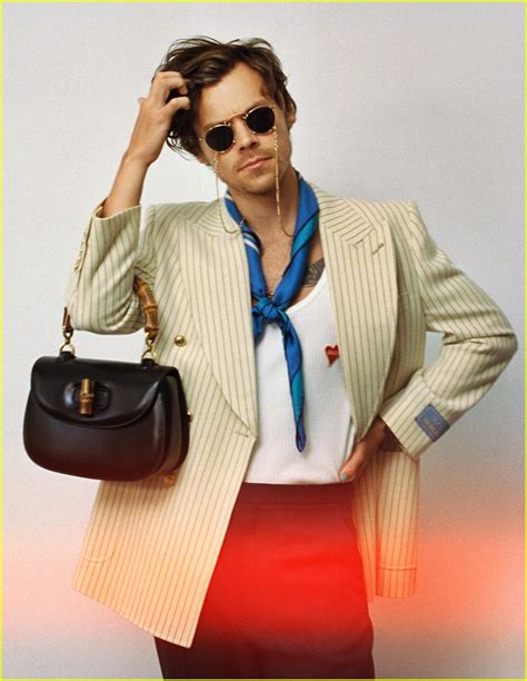 harry styles gucci campain|Harry Styles in Gucci dress.